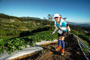 BIB: 
                            <button type="button" onclick="openModal(19115760)" class="btn btn-primary btn-sm float-right btn-popup" data-toggle="modal" data-target=".modal-high-quality">
                        <i class="fas fa-shopping-cart"></i> Add to Cart
                    </button>
                                            <button type="button" onclick="isThisMe(19115760, true)" class="btn btn-success btn-sm float-right btn-popup btn-isme hidden" data-toggle="tooltip" data-placement="bottom" title="นี่คือรูปของคุณใช่ไหม คลิกที่นี่เพื่อเอาเข้าอัลบั้ม">
                        <i class="fas fa-plus"></i> Add to album
                    </button>
                    <button type="button" onclick="isThisMe(19115760, false)" class="btn btn-warning btn-sm float-right btn-popup btn-isnotme hidden">
                        <i class="fas fa-ban"></i> Remove from album
                    </button>